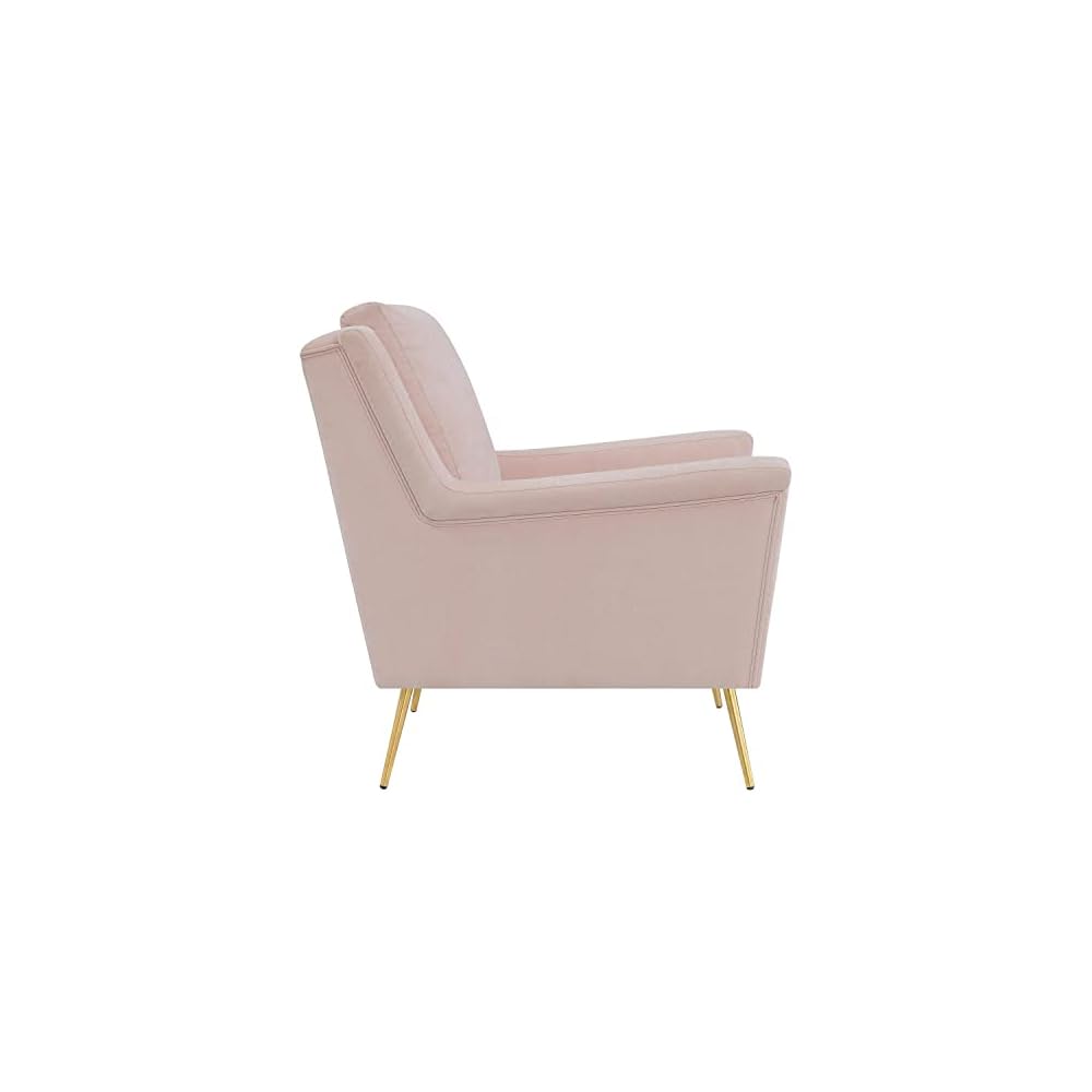 Furnishings Lincoln Accent Chair in Blush - Modern/Contemporary
