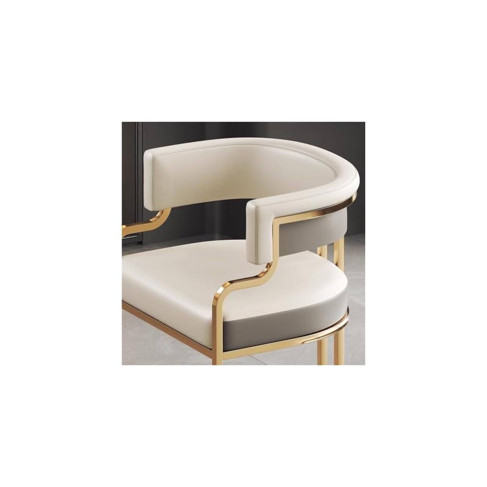 Dining Chair Household Hotel Mahjong Reception Sofa Nail Salon Stool Dressing Table Makeup