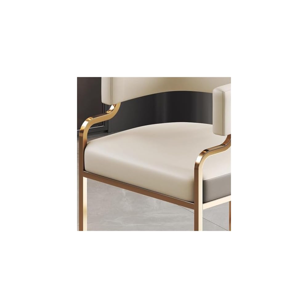 Dining Chair Household Hotel Mahjong Reception Sofa Nail Salon Stool Dressing Table Makeup